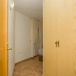 141 Rambla Place - Alicante Torrevieja