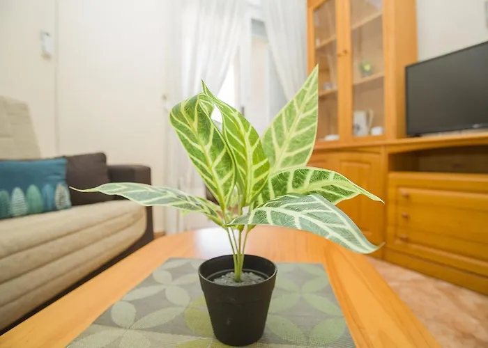 Apartamento 141 Rambla Place - Alicante